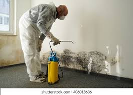 Best Mold Removal for HVAC Installations  in Fond Du Lac, WI